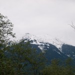 20090530_018