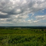 IMG_0047